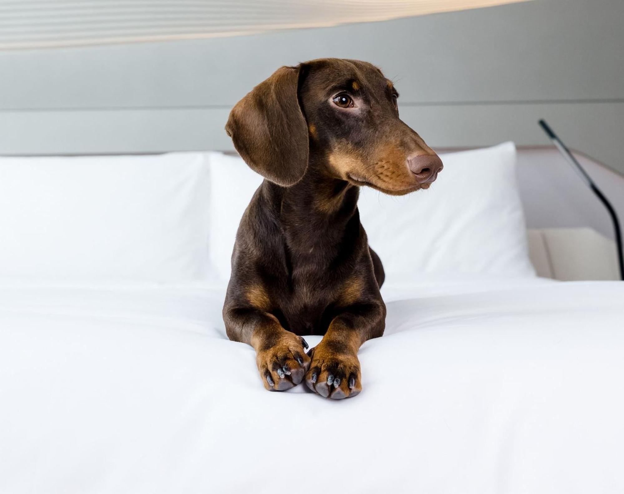 Villa Marquis Meliá Collection 5*